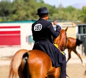 845c6fb132cc6a0d0f09264879e3566701d165c85095593c2f9946f05b0b1567.jpg