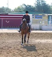 9e2ef12195538e358e6e95e16274e468caedaf494c366c7bb943ffebe890ec8d.jpg