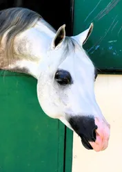 e799dfc838787ff238a5e61580af61d0d24cfb658191ebbf87454987d84e8eae.jpg