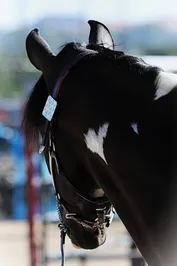 da76edb51667b4de075ec1734b2bb6132ccd2e1d46b39bb9e985a67477648c8a.jpg