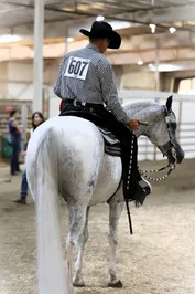 6d7d9bd961a2d52cb509d17980aa3b79d2c5d089291fc52903feb1e957a7fcc0.jpg