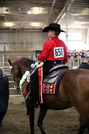 2ed561faabc75115e39265d70341dfa9834921067d0726df0645bb1041520142.jpg