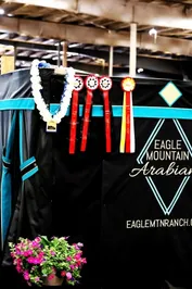 256eba1edf5f3be3de143b30ad00198773a2c8292da2cd52e48d6b09080de4bf.jpg