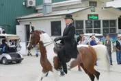 06aa4400a793d248ba2710603a4648eb46b949fb822e1ff8fa129b0ba6dc7a2e.jpg