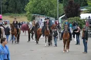23b3ad1ffa08d68d2ec11cacbbffc29315a54f16e3e629140ee53e12b8b946f7.jpg