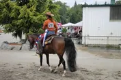 37483e4177640cbbfe8fa592b12a4ffd978f79315fd8de91e6939313d1a76ab6.jpg