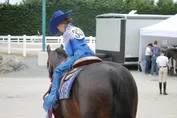 3a7d5dcdfa4e94d49e78bf63c2b1d7630b9e41664dcb9868a2d2a91875495876.jpg