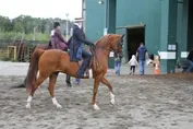 3a9cea593c22a271249e54ced3063152b74368fc09c32ec939476ea40e0754c0.jpg