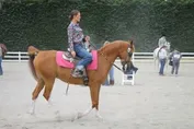 ca66231fdce82ae853d498a4383c1fc58c2a1f7c5b0979e88d2ea2ee91c4bf59.jpg