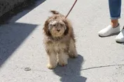 cc9c1a34542454e875f69b563d2875086ae4550e66d71da172fb1da9f0254067.jpg