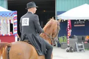 ec9b80b2fc4770943986a0cd3e4191f0092875563dd746f749b30750cd067e3d.jpg