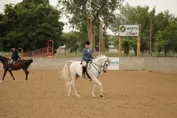 e99c93f9466e9a201fd4018e53c1a63d42df180369cdf4aea93ba6dfcaadc2b0.jpg