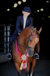 9b549e24390bd94727ccc165f0b872eeae436c813a792ef23c2cdece4c7afc1e.jpg