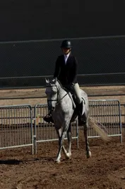 7d7f455a0505725bdc3569c0c3b7df45c58b6fde0111564fa45e3f6ae5845adb.jpg