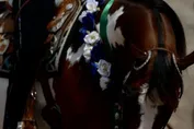 9e1517f8cb3ba0c59fff632cad03c5b5bcfd4229ee6b852bf9bd02a3391dd006.jpg