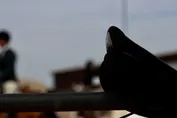 c41b3ded8d819f8c941723d78e7a7b7b21a6c5451f2ab8464c6f88de3ccfcb35.jpg