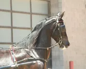 c5d67a89d52603628ca218e6b262fe6a399be900bfac3fc1268455191f240e69.jpg