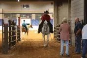 09dda49982f032157e2d6794e33aab345d857b1581f8657f9be90877360c1a55.jpg