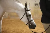 1e5f5222fcb0504add06aab7588209a52b693120345e42f96983d31eb5818c45.jpg