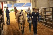 708e7cd2014533ec7c93ffc70d986fd3818ee371b4dfddfba134dcecf4e64ecc.jpg