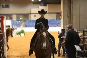 7b2900c97627a3ea8da2f67a6413fbd9f887148c6f7a7062350f14c80456f04b.jpg