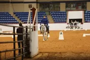 a20e328b687ff469ef019f4696c37d4335abf436c04373dad137051b54c11836.jpg