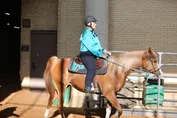 ba3083db2130215973840e69bb569c9856449ffe60a09a1e7dd43157e28f1c50.jpg