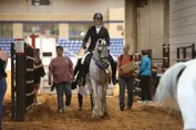 d9d315109375cdeb5339371e310e72de75b0f61d9c034e67e6105ea41514b4d1.jpg