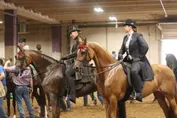 336f0979ba06d2f3e8e0c72068fabf0d0fb2b788140396f3a6d9f7aee441e8b8_1_IzAwMDgwMF8xMDA=.JPG