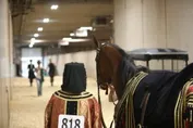 0e650c781cf326fb65bd851070f465dcf5737b227bae52421403aa1eaeb2b6db.jpg