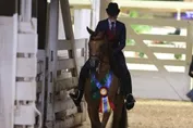 128022db3061627818bb17e7fa0a555b6f892e0cefa8bd33b7c0e85ef7550324.jpg