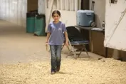 3c234b215231506a9cb1707eaaab7028545331233471dc7af472a0e5fb1c5b18.jpg