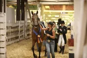 41655555030fb8b47e569164cb69e06f9f2f77944c88cfe1415711a572cac6a6.jpg