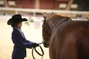 e2672f52ac3774985bfbd809a9f6a39a6609f0269a981ece2547befec8ca5d82.jpg