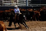 25f8a976cb5496cb02beef217d0c11dbddbeac51402594f5acf1f614417eb159.jpg