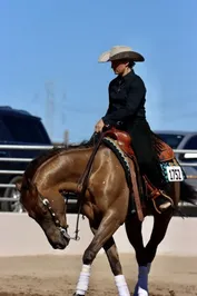 aa8c2645c92ae4ee31968133ba9ab2ff70cbebec5795471a930a2ec432587bcc.jpg
