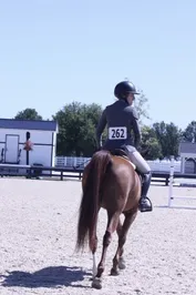 18705319b9f01f883adc5f4e592c052fbd62deb9f023769e204192336303be81.jpg