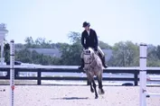 e3a1b30011309c5cafdcca659a9bb2e2aac2aebf45fbd1449a1f7d0bf7de554e.jpg