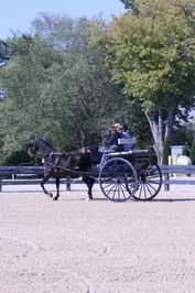 8fba5e5055ee162057b047eaec5e1ef5fcb08d95178083ce2203f60f386018ab.jpg