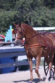 9fa3fb527377c02fecbbaa857050639515e478a4210bf9d050a3a6c830252b2c.jpg