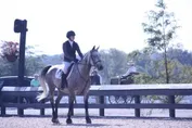 cedee1b0f9ba52158c12d3095e81f77c8194e50839669139a25b3bc3954f7f0e.jpg