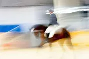 94adac21c28b051b4bbc6f72faee3dc028cc0fb541e5ec2b450cfa19d6ec32ac_1_IzAwMDgwMF8xMDA=.jpg