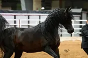 271a391090d45e7b0ff986766dbbee6ffc88f248a7fe2f22aef3da52dc56fa3e.jpg
