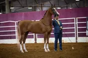 0f419d0cf43486a3720371a23d68060199a0d7c1b8ab61d5873950f89b2cdae7.jpg