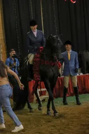 6d876899cd2bcecb8538995657ca11733ab4e4cd502dfbbf8c2637d0f903433f.jpg