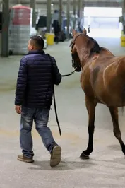 00c49d6e8c7da9aa7f459651c210013dcb327001a836fbf60ee720106e365b69.jpg
