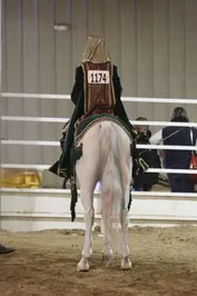 39a8bc23a690d73923a9739e51a43bdc0ef9a6fcd7ec576ede2b1d01dddd4dcf_1_IzAwMDgwMF8xMDA=.JPG
