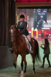 4d4201193d127b56fb6b51e2f40ebd49ee469bab60903e23b43cb3db6d33b5b7_1_IzAwMDgwMF8xMDA=.jpg