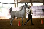 f4fb07c79cda6f4b05c32f7c4dca35abe8cb9d3750fc6f19140e98b4ee370ccf_1_IzAwMDgwMF8xMDA=.jpg