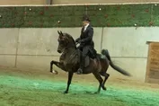 025b9096d31616c9be016eadb710ece5f96e70da78fa4e56be8335d1c4fd4a37.jpg